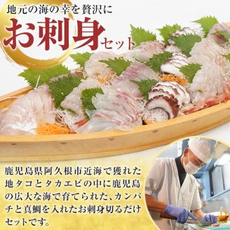 鹿児島県産！お刺身切るだけセット(6人～8人前)国産 刺し身盛 鹿児島産 魚貝 魚介 海産物 刺身 蛸 たこ 海老 エビ かんぱち タイ 簡単調理 おつまみ セット 小分け 個包装【さるがく水産】akn028-17