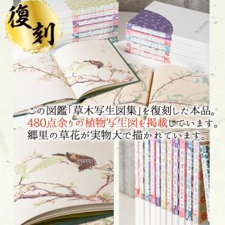 丹宗律光画集(全12巻)美術品 丹宗律光 画集 絵画 図鑑 古書 書籍【生涯学習課】akn012-02