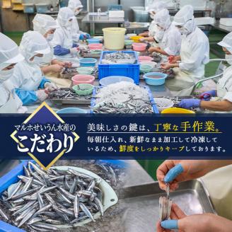 鹿児島県産！あくねキビナゴづくし(3種)生きびなご、一夜干し、刺身をセットに冷凍でお届け！魚介類 海鮮 海の幸 きびなご キビナゴ 刺し身 さしみ 一夜干し【マルホせいうん水産】akn046-03