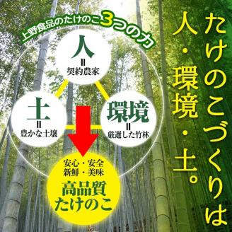 【平日着】＜2026年2月下旬以降順次発送予定＞朝堀り青果たけのこ(約5kg) 国産 新鮮 タケノコ 青果 竹の子 筍 野菜 春 旬 期間限定【上野食品】akn008-20-A