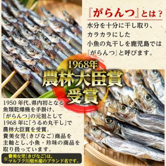 貴美女児一夜干し(計168匹・28匹×6パック)国産 干物 ひもの キビナゴ きびなご 魚介 乾物 おつまみ おかず【マルフク川畑水産】akn029-11