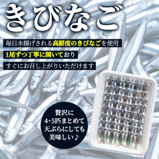 鹿児島県阿久根産 天然きびなごのお刺身(計160尾・40尾×4パック)国産 魚介 魚貝 海産物 鮮魚 冷蔵配送 キビナゴ 海鮮丼 食品 セット 詰め合わせ 水産加工品【濱崎魚類】akn023-02