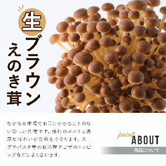 生ブラウンえのき茸(20袋・計3.6kg)国産 エノキ きのこ 茸 キノコ 個包装【三笠えのき茸生産組合】akn010-09