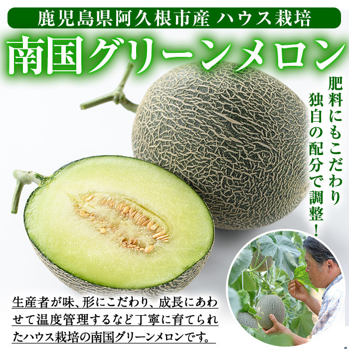 ＜2026年6月中旬以降順次発送予定＞数量限定！鹿児島県産南国グリーンメロン(LAサイズ×3個) メロン フルーツ 果物 鹿児島 国産 青肉 期間限定 LA【東新グリーンファーム合同会社】akn062-09