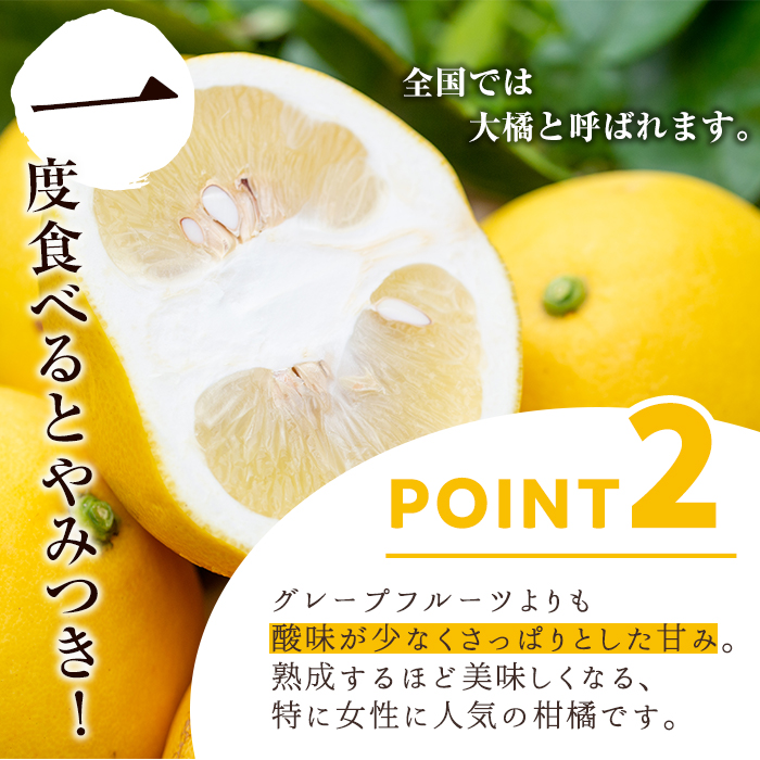 ＜2026年2月下旬以降発送予定＞＜訳あり・傷あり＞数量限定！サワーポメロ(約7kg) 国産 フルーツ 果物 柑橘類 サワーポメロ 甘味 酸味 デザート おやつ 訳あり【なかむら果樹園】akn014-01