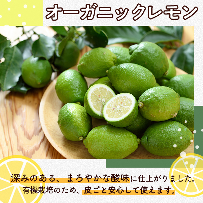 ＜2025年9月以降発送予定＞数量限定！有機JAS オーガニックレモン(計2kg) 国産 レモン 檸檬 果実 果物 フルーツ 柑橘 デザート 期間限定 有機栽培 健康志向【中村農場】akn084-03