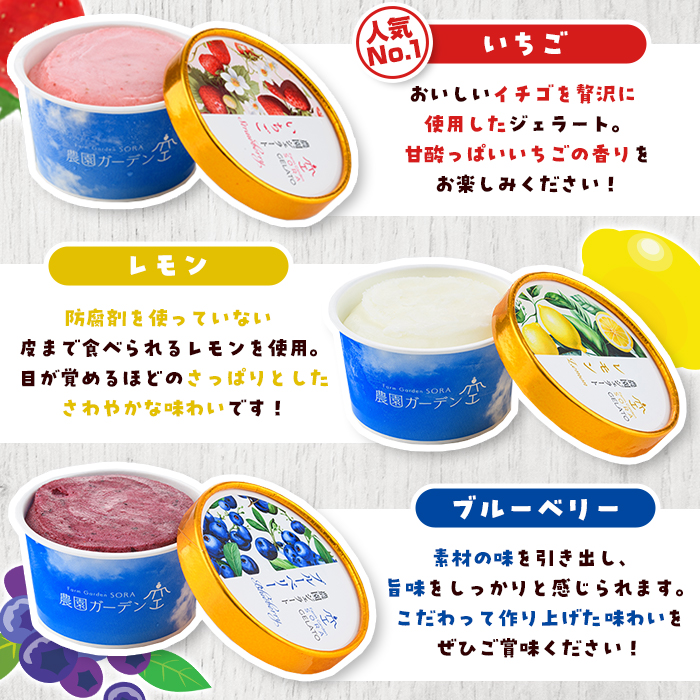 農園ガーデン空 楽園のジェラートセット(90ml×6個) ジェラート アイス いちご いちごミルク レモン ブルーベリー 抹茶 デザート スイーツ おやつ 夏 鹿児島 バラエティ バレンタイン ホワイトデー【農園ガーデン空】akn026-12