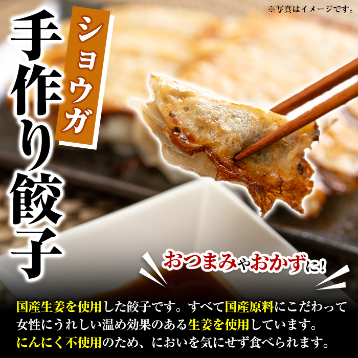 国産豚肉使用！手作りショウガ餃子(計100個・10個×10パック、たれ付き) 餃子 ぎょうざ ギョウザ ギョーザ しょうが 生姜 豚肉 おかず お惣菜【スーパーよしだ】akn058-07