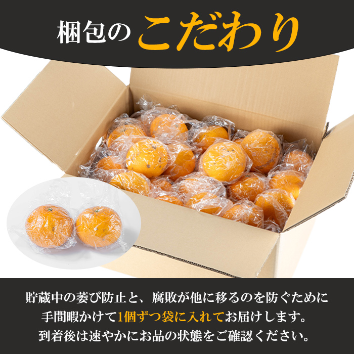 ＜2026年3月上旬以降順次発送予定＞訳あり！鹿児島県産まかない紅甘夏(約20kg) 国産 鹿児島産 柑橘 訳アリ 果物 フルーツ 旬 常温保存 紅甘夏 ベニアマナツ 数量限定 期間限定 規格外 デザート 阿久根市産【三笠農業生産】akn051-05