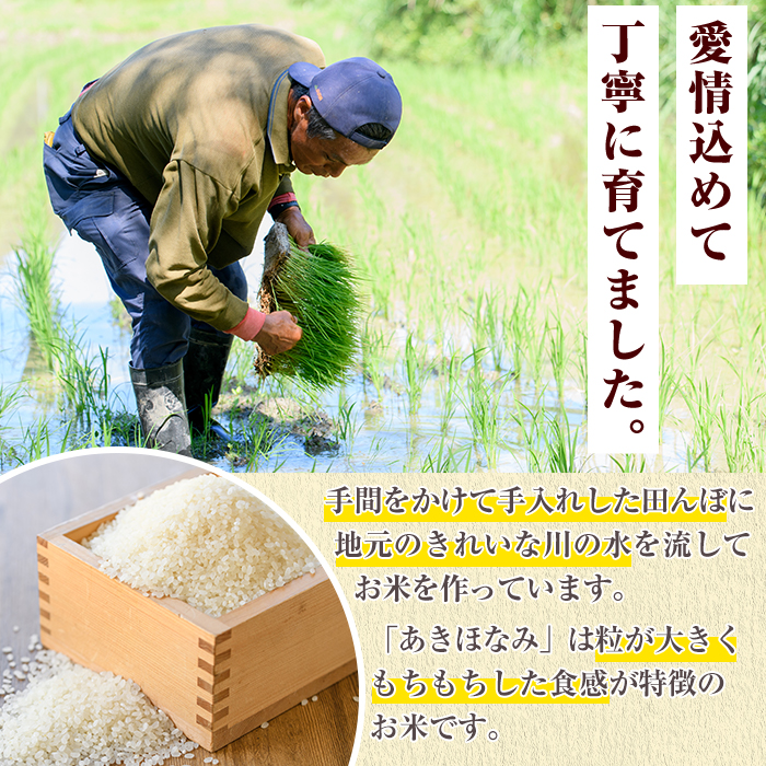 鹿児島県産のお米 あきほなみ(計10kg・5kg×2袋) 国産 白米 自社精米 ご飯 おこめ おにぎり お弁当 あきほなみ【谷口ファーム】akn064-06