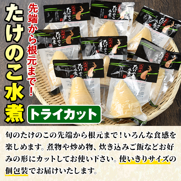 たけのこ水煮トライカット8袋(計800g・100g×8袋) 国産 九州産 筍 野菜 使い切り 小分け 個包装【上野食品】akn008-11