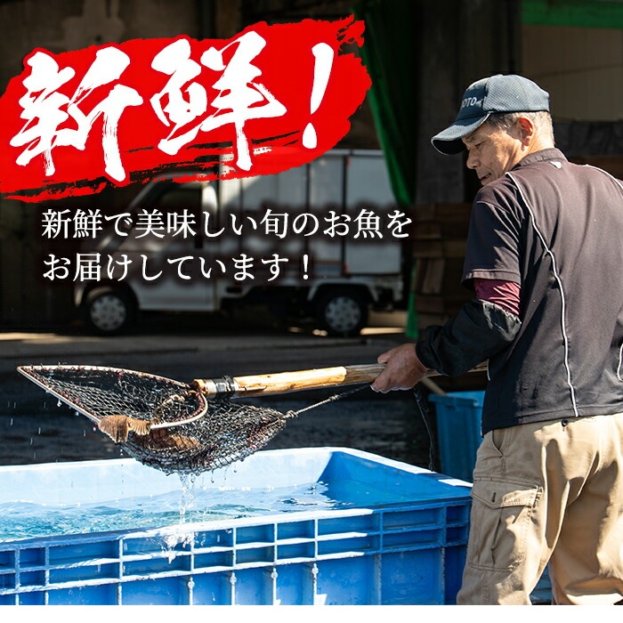 ＜冷凍＞鹿児島県阿久根産 天然きびなごのお刺身(計160尾・20尾×8パック) 国産 魚介 魚貝 海産物 鮮魚 刺身 天ぷら 冷凍配送 キビナゴ 海鮮丼 食品 セット 詰め合わせ 水産加工品【濱崎魚類】akn023-04