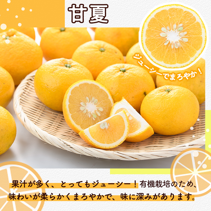 ＜2026年2月上旬以降発送予定＞数量限定！有機JAS 甘夏(約10kg) 国産 果実 果物 フルーツ 柑橘 デザート 期間限定 有機栽培【中村農場】akn084-05