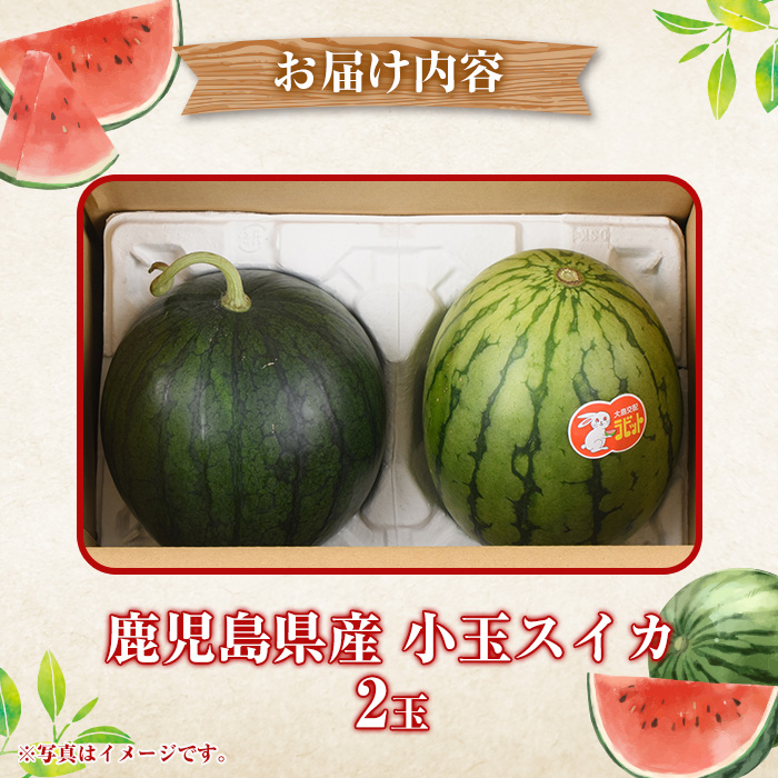 ＜2026年5月下旬以降順次発送予定＞鹿児島県産 小玉スイカ(2玉) 国産 果物 スイカ すいか 西瓜 フルーツ スイーツ スムージー ジュース 期間限定【松永青果】akn053-06