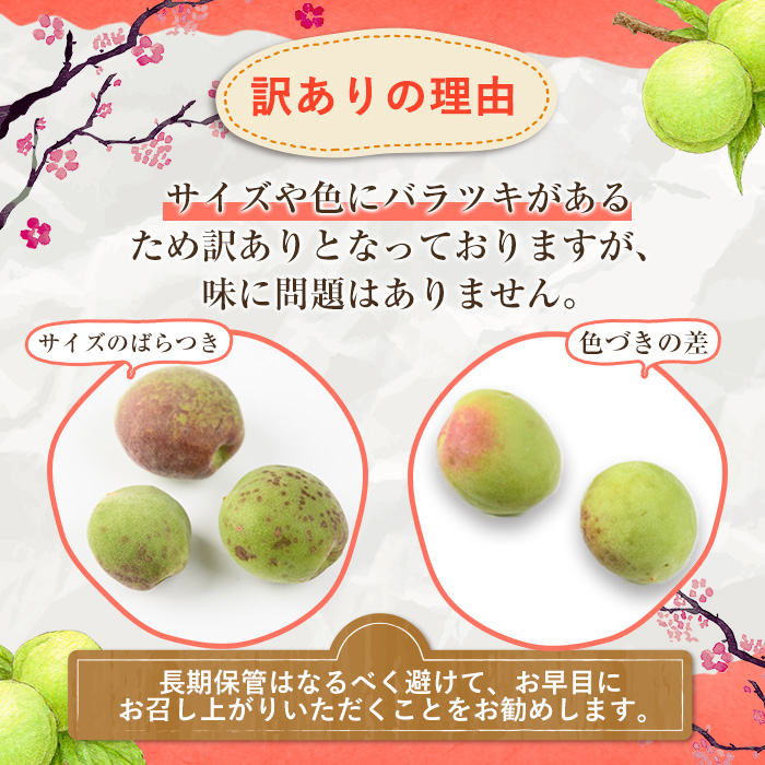 ＜2026年5月下旬以降順次発送予定＞訳あり！鹿児島県産 南高梅(約4kg) 国産 果物 梅 うめ ウメ ナンコウウメ 和食 梅干し 梅酒 梅シロップ 訳アリ サイズ混合 期間限定【松永青果】akn053-09