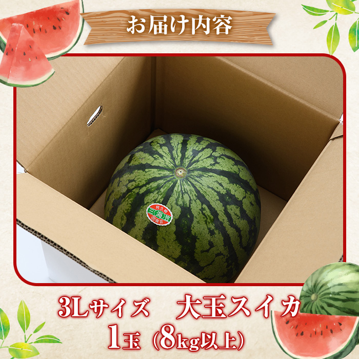 ＜2026年6月中旬以降順次発送予定＞鹿児島県産 大玉スイカ(3Lサイズ・1玉) 国産 果物 スイカ すいか 西瓜 フルーツ スイーツ スムージー ジュース【松永青果】akn053-15