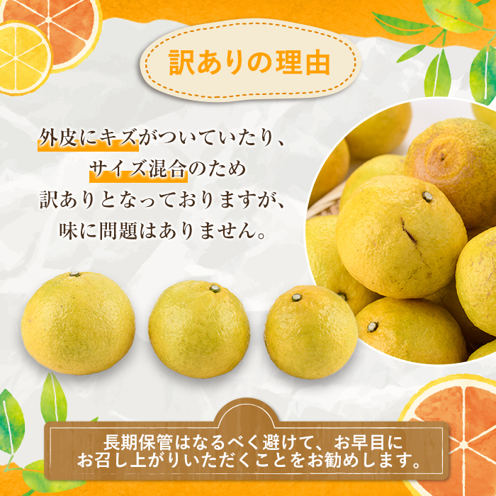 ＜2026年2月以降順次発送予定＞訳ありはるか(約6kg) 国産 鹿児島県産 果物 フルーツ 柑橘 みかん はるか【松永青果】akn053-40