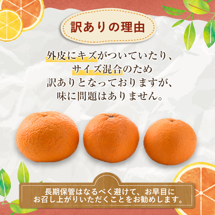 ＜2026年3月以降順次発送予定＞訳あり 紅甘夏(約12kg) 国産 鹿児島県産 果物 フルーツ 柑橘 みかん 甘夏【松永青果】akn053-19