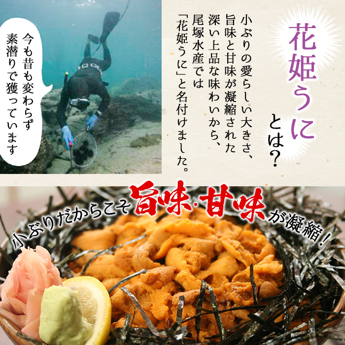 鹿児島県産うに使用！尾塚水産の生うに海水漬(70g×1本) 国産 鹿児島県産 阿久根市 雲丹 ウニ 魚介 魚貝 海産物 海鮮丼 瓶詰 瓶詰め 小分け セット 冷凍配送 刺身 海鮮丼【尾塚水産】akn004-14