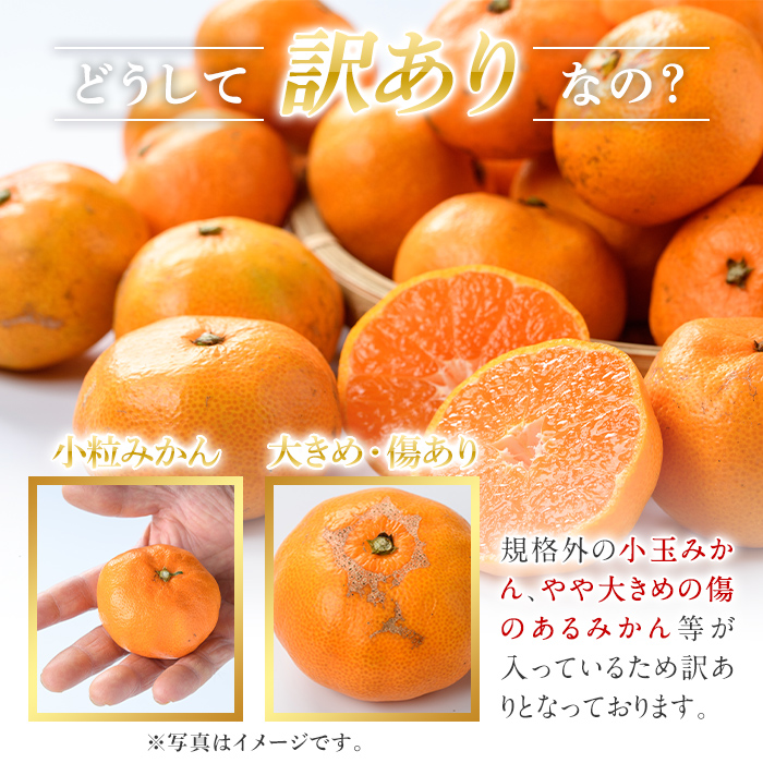 ＜2025年10月中旬以降順次発送予定＞訳あり！鹿児島県産みかん(計約10kg) 大容量 傷あり 不揃い 国産 柑橘 果物 くだもの フルーツ 旬 期間限定 数量限定 訳アリ 規格外 ご家庭用 ご自宅用 ミカン ノーワックス【三笠農業生産】akn051-04