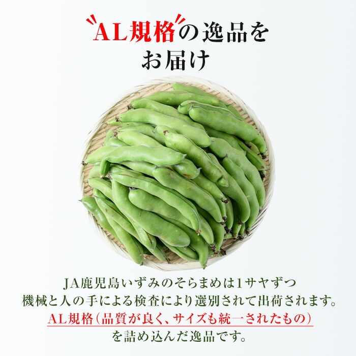 ＜2026年4月中旬以降順次発送予定＞春の味覚の鹿児島県産そらまめ(4kg) 大容量 国産 野菜 そら豆 ソラマメ セット 詰合せ 詰め合わせ 旬 ベジタブル 期間限定 AL規格 国産 鹿児島県産 阿久根市産 冷蔵【鹿児島いずみ農業協同組合】akn018-11