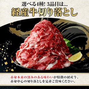 黒毛和牛鹿児島県産(経産牛)切り落とし(計1.2kg・600g×2P) 国産 牛肉 肉 冷凍配送 小分け 個包装 セット しゃぶしゃぶ すき焼き バーベキュー BBQ 鍋【スターゼン】akn042-04