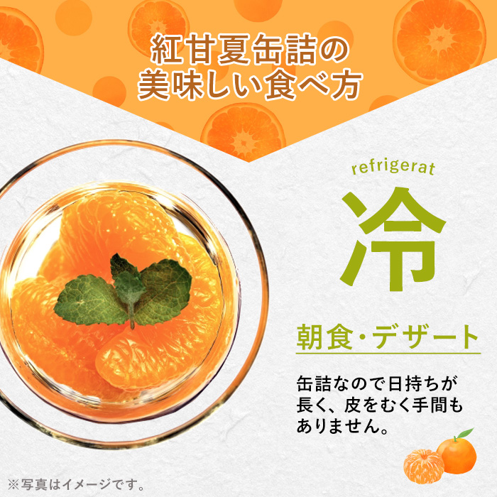 紅甘夏缶詰(295g×6缶)国産 柑橘 果物 フルーツ あまなつ 加工品 缶詰め デザート おやつ【鹿児島いずみ農業協同組合】akn018-09