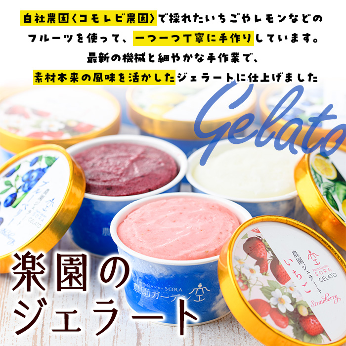 楽園のジェラート3種セット(合計9個) スイーツ デザート おやつ ジェラート アイス 夏 いちご レモン ブルーベリー 自社農園【農園ガーデン空】akn026-05