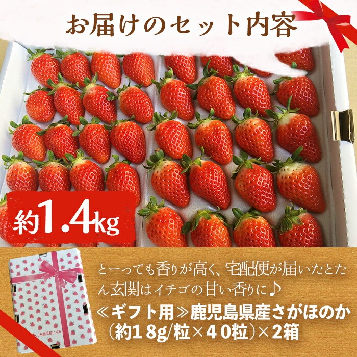 ＜2026年1月中旬以降順次発送予定＞鹿児島県産いちご(さがほのか「秀大」・計約1.4kg・40粒×2箱) 鹿児島 阿久根 果物 フルーツ イチゴ いちご 苺 さがほのか デザート おやつ 期間限定【鹿児島いずみ農業協同組合】akn018-21