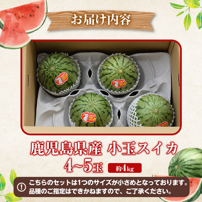 ＜2026年5月下旬以降順次発送予定＞鹿児島県産 小玉スイカ(4～5玉) 国産 果物 スイカ すいか 西瓜 フルーツ スイーツ スムージー ジュース 期間限定【松永青果】akn053-25