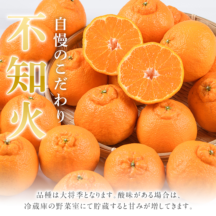 ＜2026年3月上旬以降順次発送予定＞数量限定！鹿児島県産 露地栽培の不知火(計約5kg：大将季) 国産 みかん ミカン 柑橘 フルーツ 果物 旬 デザート 数量限定 期間限定 露地 阿久根市産 しらぬい シラヌイ【三笠農業生産】akn051-10