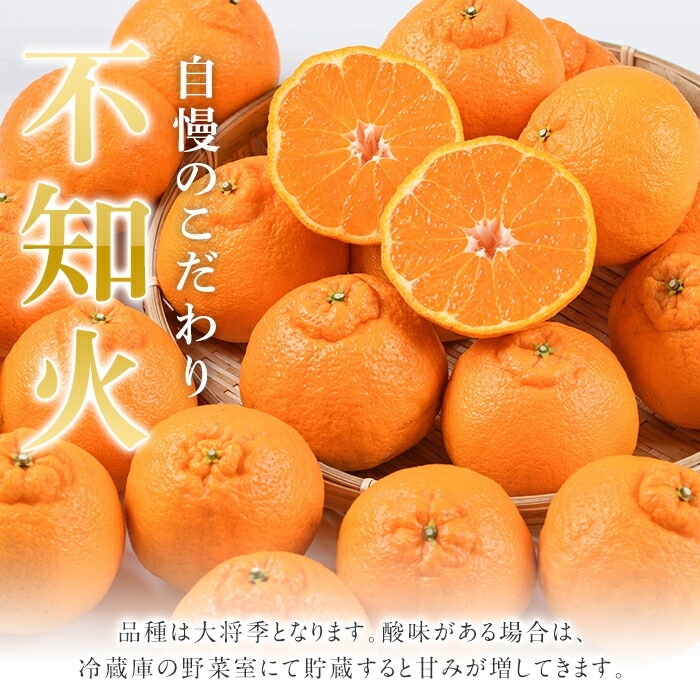 ＜2026年4月上旬以降順次発送予定＞数量限定！冷蔵不知火「クールな大将季」(計約3kg) 国産 みかん ミカン 柑橘 フルーツ 果物 旬 デザート 数量限定 阿久根市産 露地 しらぬい シラヌイ 冷蔵 期間限定 クール【三笠農業生産】akn051-06