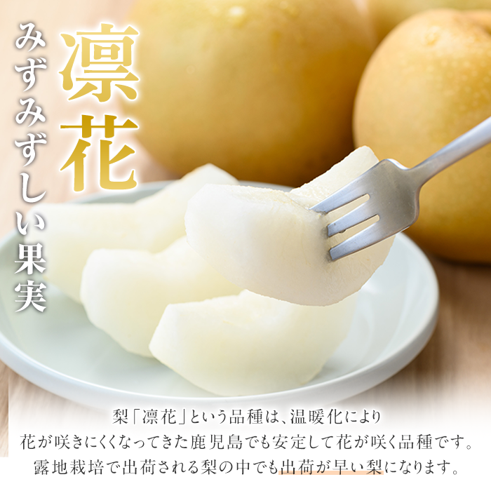 ＜2026年7月下旬以降順次発送予定＞数量限定！鹿児島県産梨＜品種：凛夏＞(約5kg・10～20個前後)国産 果物 くだもの フルーツ 旬 果実 ナシ なし デザート 露地栽培 りんか 凛夏 期間限定【三笠農業生産】akn051-08