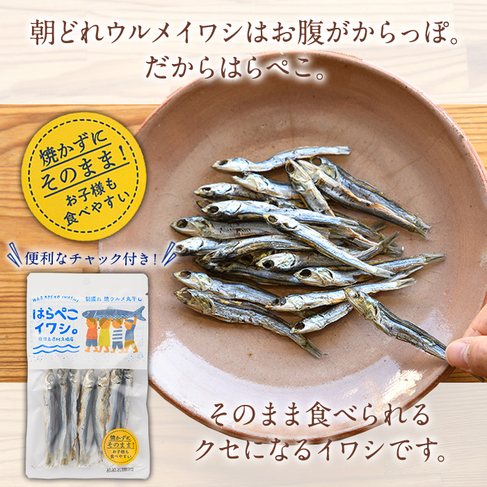 はらぺこイワシ10袋セット(25g×10袋)海産物 いわし 鰯 おつまみ おかず【下園薩男商店】akn086-12