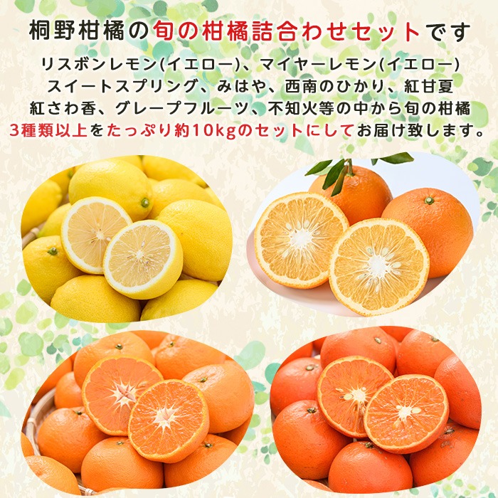 ＜2026年2月発送分！＞旬の柑橘詰合せセット (約10kg) 国産 鹿児島県 阿久根市 果実 果物 フルーツ 柑橘 みかん ミカン 旬 詰め合わせ セット【桐野柑橘株式会社】akn070-16-m02