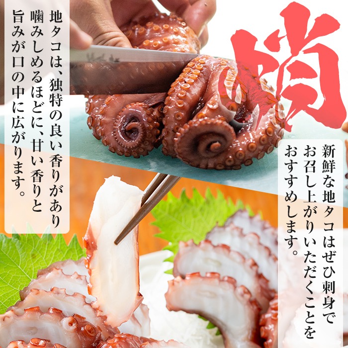 鹿児島県産地たこのゆでたこ(計1kg) 阿久根市 国産 九州産 特産品 新鮮 地ダコ タコ 魚介 魚貝 海産物 海鮮 蛸 味付 刺身 磯辺焼き たこ焼き 唐揚げ 料理 おかず お弁当【さるがく水産】akn028-19