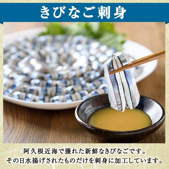 ＜定期便・全3回(冷凍便)＞鹿児島県産！阿久根のきびなごお刺身セット(計480尾・40尾×4P×3回) 冷凍 魚介類 海鮮 魚 きびなご キビナゴ 刺身 さしみ 刺し身 青魚 子魚 小分け【椎木水産】akn054-14