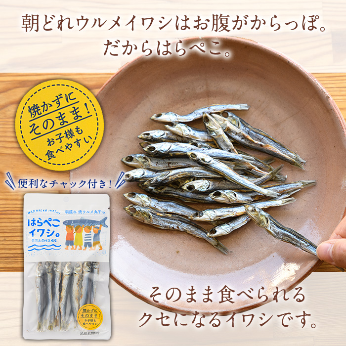 はらぺこイワシ20袋セット(25g×20袋)海産物 いわし 鰯 おつまみ おかず【下園薩男商店】akn086-15