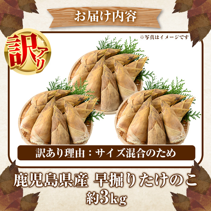 ＜2025年11月以降順次発送予定＞訳あり！鹿児島県産 早掘りたけのこ(約3kg) 国産 野菜 たけのこ タケノコ 筍 旬 煮物 水煮 天ぷら つくだ煮【松永青果】akn053-34