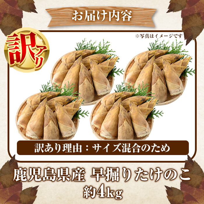 ＜2025年11月以降順次発送予定＞訳あり！鹿児島県産 早掘りたけのこ(約4kg) 国産 野菜 たけのこ タケノコ 筍 旬 煮物 水煮 天ぷら つくだ煮【松永青果】akn053-35