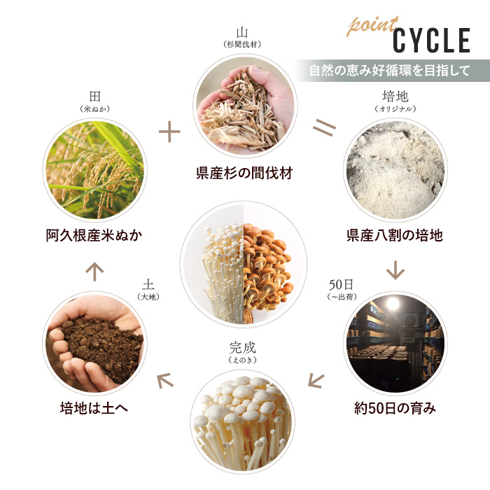 濃いえのき白(20袋・計600g)国産 白えのき エノキ きのこ 茸 キノコ セット 個包装【三笠えのき茸生産組合】akn010-21