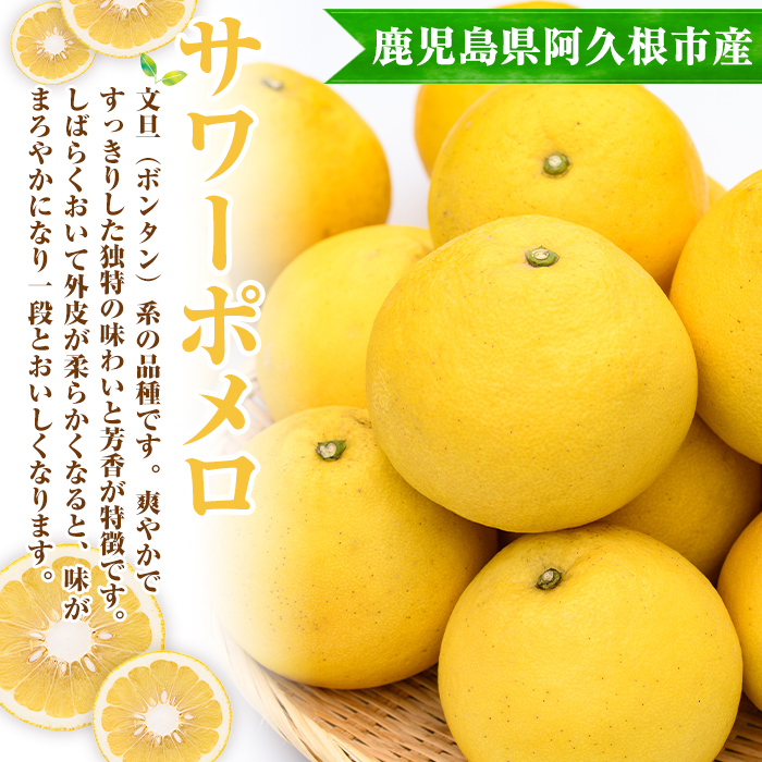 訳あり！まなべみかん園のサワーポメロ (約9.5kg) 国産 鹿児島県産 阿久根市産 柑橘類 みかん ミカン 蜜柑 果物 フルーツ サワーポメロ 期間限定 数量限定 デザート 訳アリ 【有限会社まなべみかん園】akn034-08