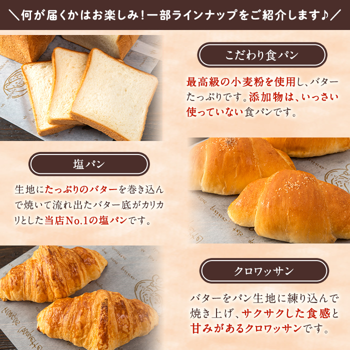 訳あり！サンセリテのもったいないパンセット (16～18個入り) ロスパン 詰合せ 詰め合わせ セット 冷凍 冷凍パン 訳アリ ランダム おまかせ お楽しみ フードロス 食べ比べ 菓子パン フランスパン デニッシュ 【ブーランジェリーサンセリテ】akn048-06