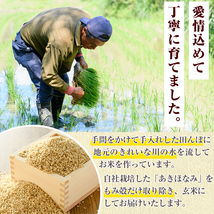 鹿児島県産の玄米 あきほなみ(計5kg) 国産 玄米 自社精米 ご飯 おこめ おにぎり お弁当 あきほなみ【谷口ファーム】akn064-02