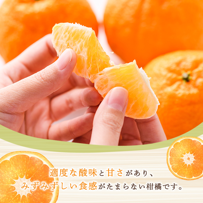 ＜2026年3月上旬以降順次発送予定＞訳あり！露地栽培の不知火(4kg) 国産 不知火 しらぬい 柑橘 果物 フルーツ デザート 露地 果実 期間限定 数量限定 【古田果樹園】akn093-03