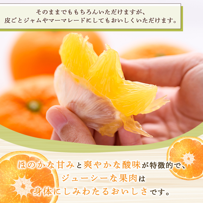 ＜2026年2月上旬以降順次発送予定＞訳あり！紅甘夏(10kg) 国産 紅甘夏 柑橘 果物 フルーツ デザート 果実 期間限定 数量限定 【古田果樹園】akn093-04