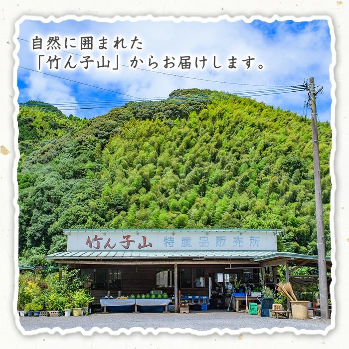 竹ん子山の季節の柑橘詰め合わせ(約5kg) 国産 鹿児島県産 阿久根産 柑橘 果物 温州みかん ミカン 蜜柑 ボンタン ぼんたん 文旦 しらぬい しらぬひ 不知火 サワーポメロ フルーツ 果実 期間限定 セット 詰合せ バラエティ 【竹ん子山】akn097-13