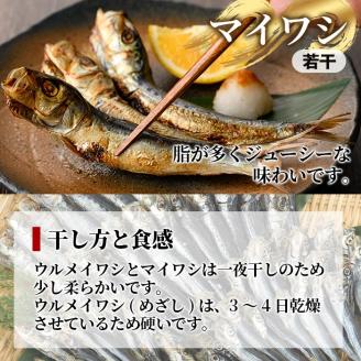 数量限定！イワシ丸干し3点セット(合計100尾以上) 国産 鹿児島県産 阿久根市産 魚 魚介 水産 いわし 鰯 ウルメイワシ うるめいわし めざし マイワシ まいわし 食べ比べ セット 詰め合わせ【鈴木海産】akn091-01