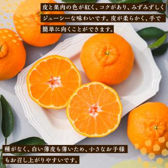 ＜2026年2月中旬以降順次発送予定＞数量限定！おおの果樹園の「大将季」(計3kg) 果物 フルーツ 果実 柑橘 ハウス栽培 無加温 みかん【おおの果樹園】akn087-03