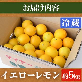 ＜2026年4月以降順次発送予定＞数量限定！冷蔵品マイヤーイエローレモン(5kg) 国産 マイヤーレモン 檸檬 オレンジ 果実 果物 フルーツ 柑橘 デザート 期間限定【桐野柑橘株式会社】akn070-13